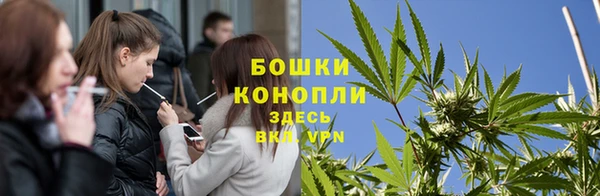 прущие крисы Богданович