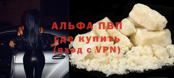 прущие грибы Белоозёрский