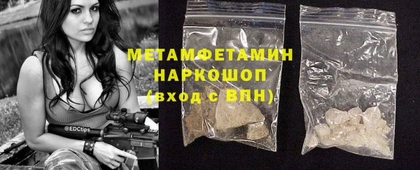 прущие грибы Белоозёрский