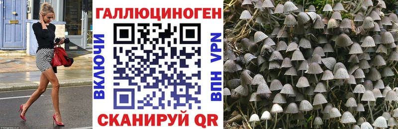 Псилоцибиновые грибы Cubensis  ссылка на мегу ТОР  Дербент 