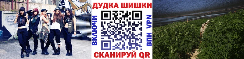 Бошки Шишки индика  где можно купить   Дербент 